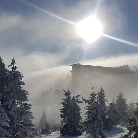 Apartman Medvědín 306 Spindleruv Mlyn Exterior foto